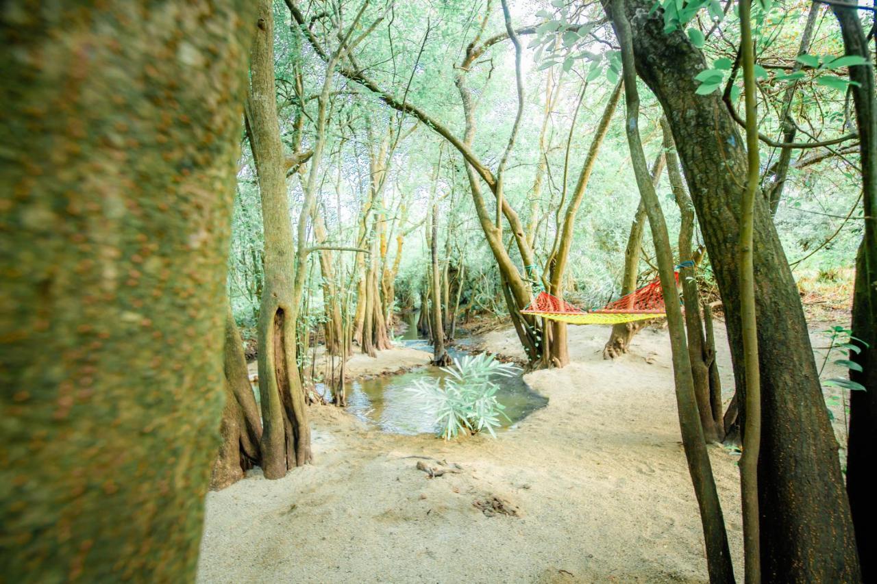 Kayjay Wild Wilpattu Hotel Exterior photo