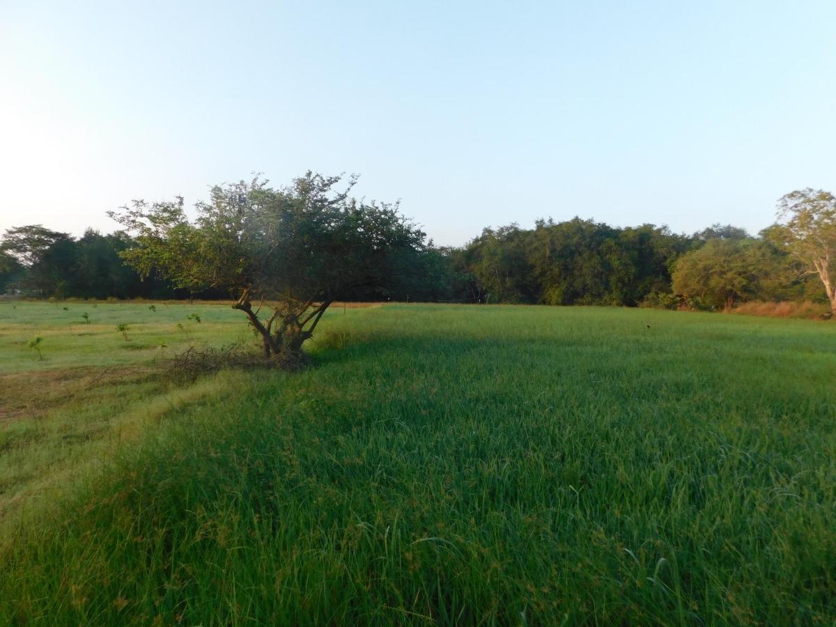 Kayjay Wild Wilpattu Hotel Exterior photo